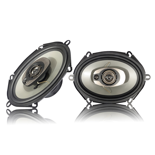 Altavoz Automotriz 5